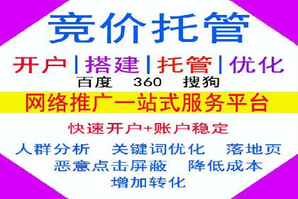 网站sem托管服务提供商的成功案例分析